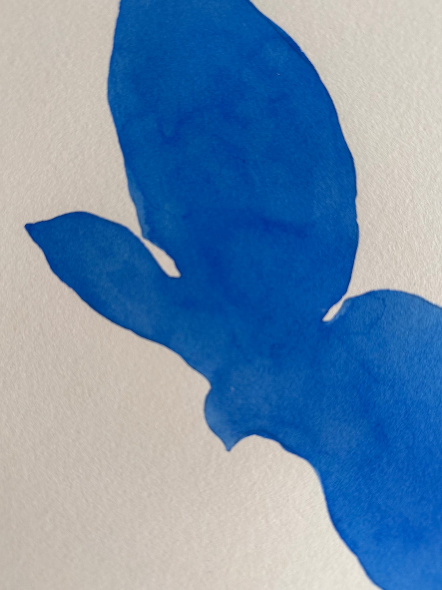 Le bleu du ciel 06 - 18 x 24 cm