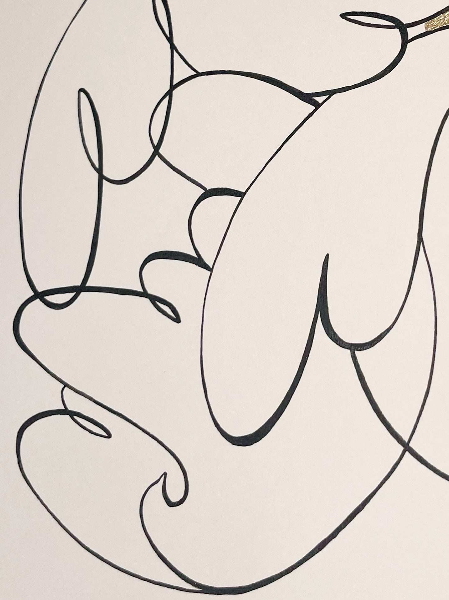 Le lâcher de colombes 02